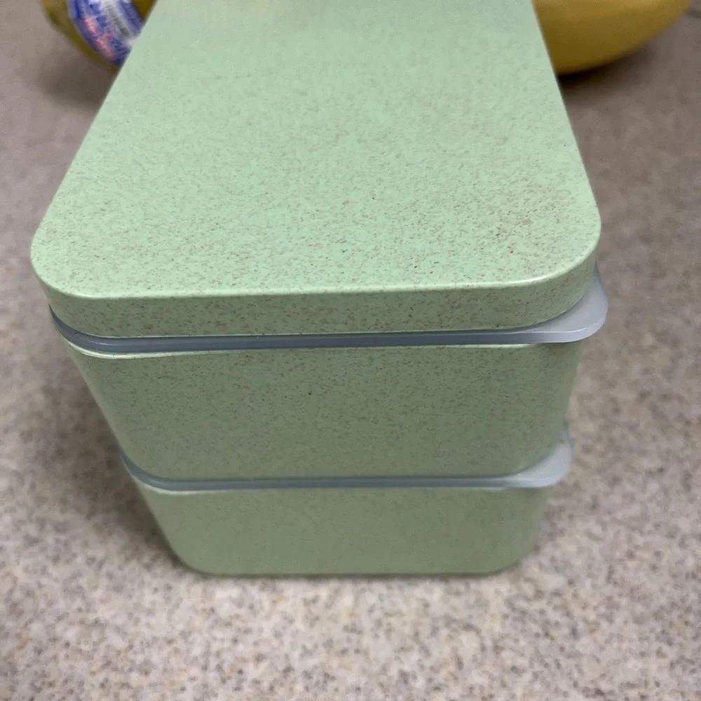Lunch/bento box